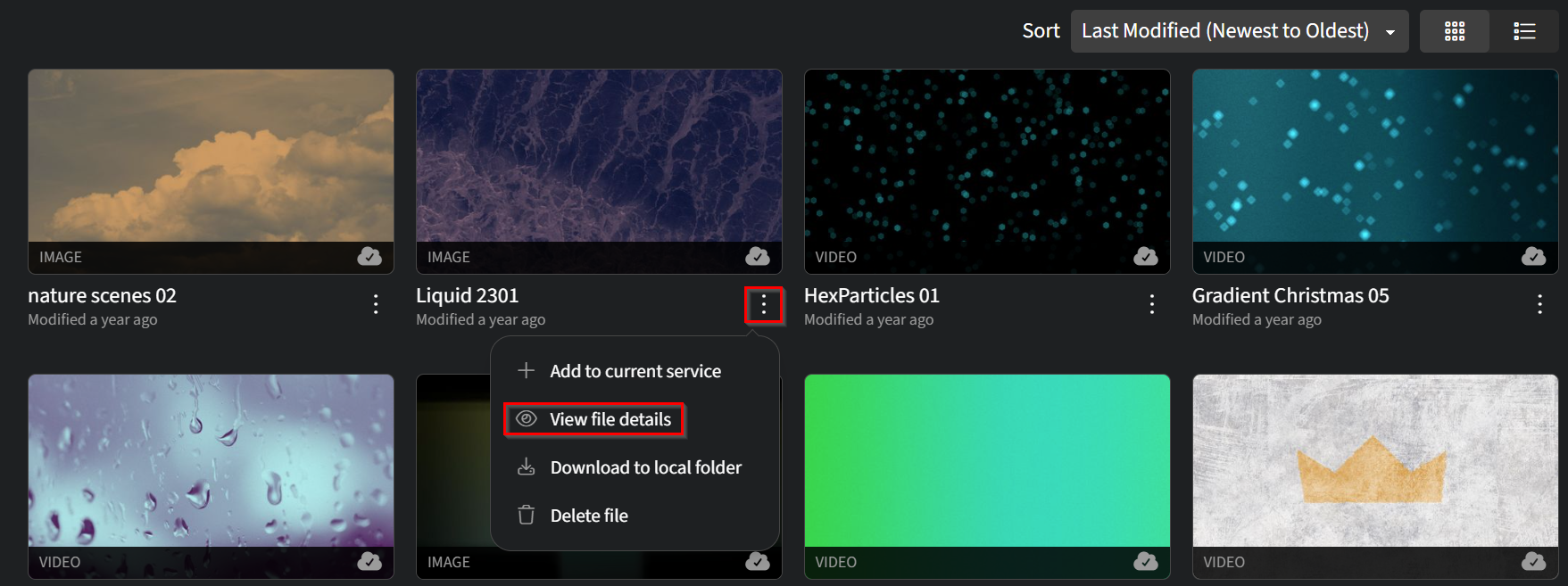Media Library - Thumbnail View Ellipses.png